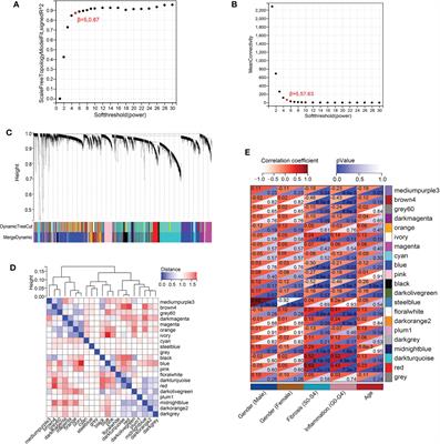Revealing immune infiltrate characteristics and potential immune-related genes in hepatic fibrosis: based on bioinformatics, transcriptomics and q-PCR experiments